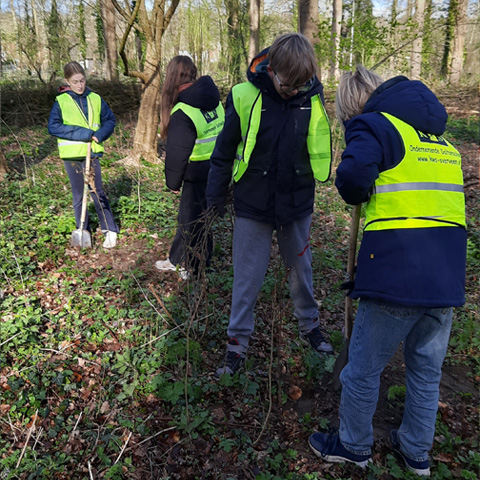 Groep 8 van de Koningin Wilheminaschool plant struikjes in een nog vrij kaal bosperk-1